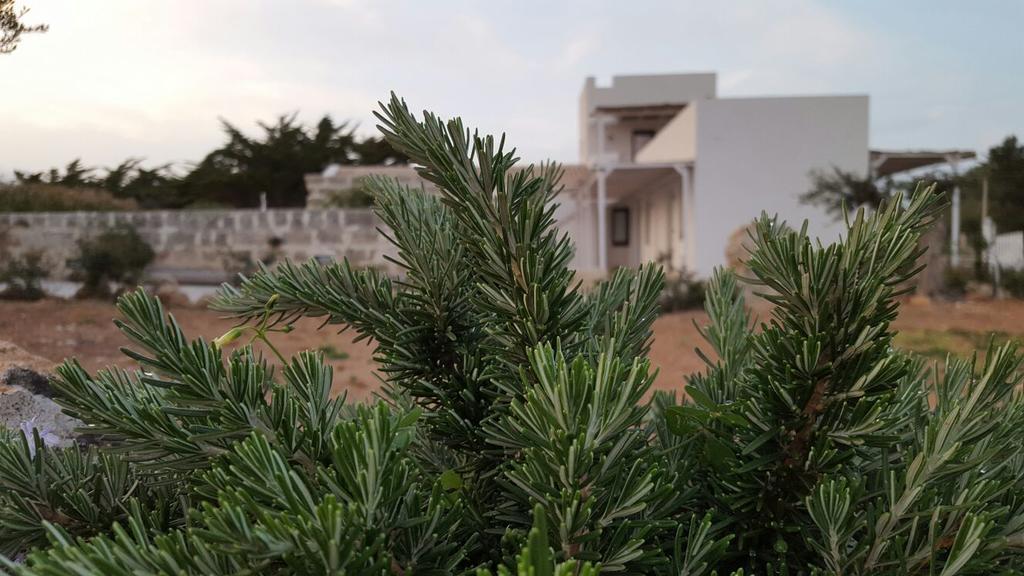 Senia Del Rais Casa de Férias Ilha de Favignana
