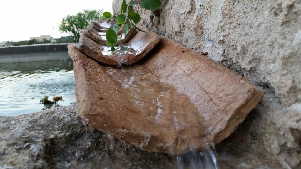 Senia Del Rais Favignana